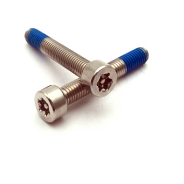 M5 ISO14579 šroub torx fix z nerezové oceli 304 nylonem potažený