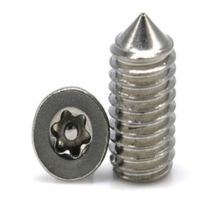Torx z nerezové oceli M6 se stavěcím šroubem s kolíkovým kuželem