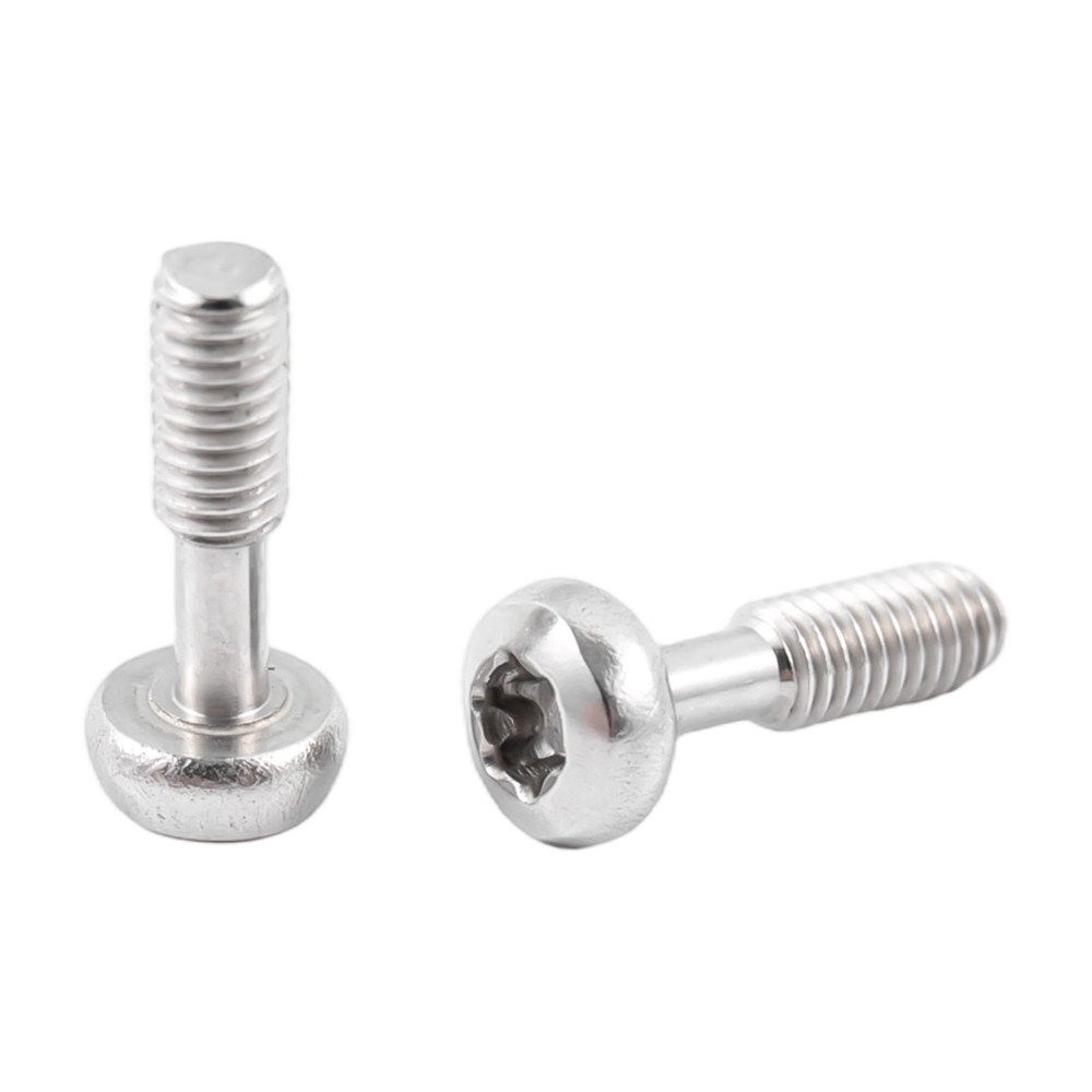 Torx šrouby s knoflíkovou hlavou z nerezové oceli