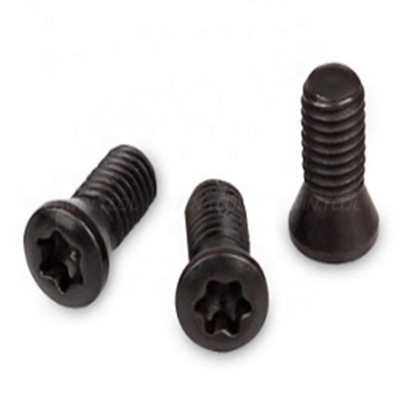 Torx šroub M2 pro náhradní CNC soustruh s karbidovými destičkami